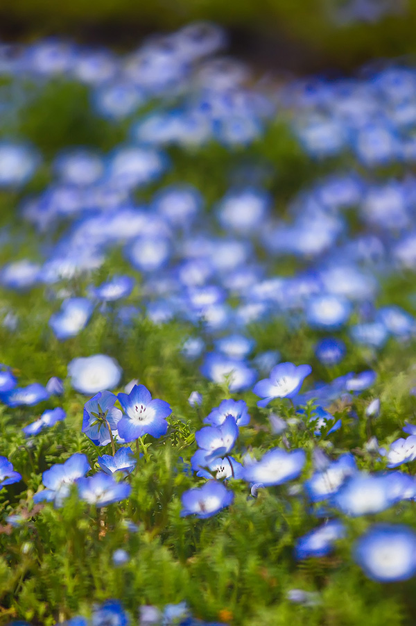 IMG_6539 - 副本.jpg