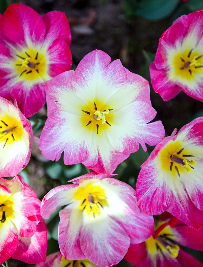 IMG_6553 - 副本.jpg