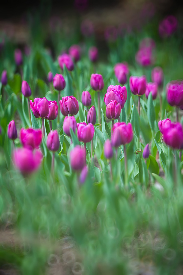 IMG_6563 - 副本.jpg