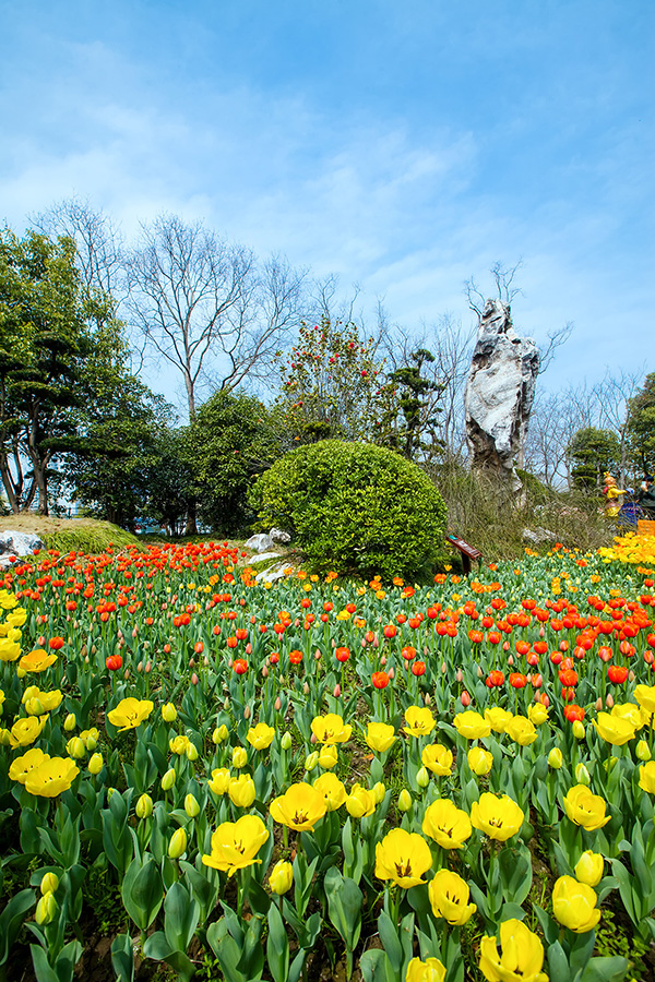 IMG_6562 - 副本.jpg