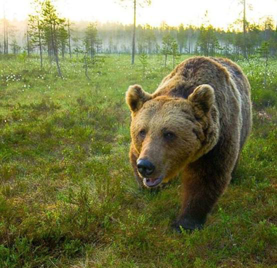 终极旅行癖的Instagram账号长什么样？