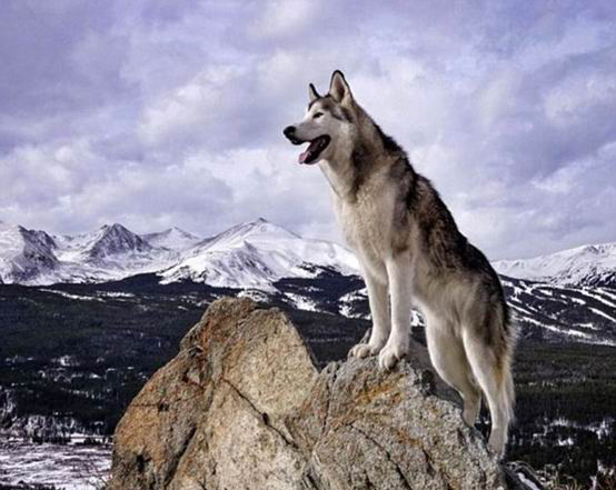 终极旅行癖的Instagram账号长什么样？