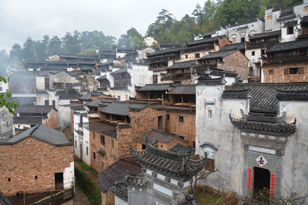 婺源 (55).JPG