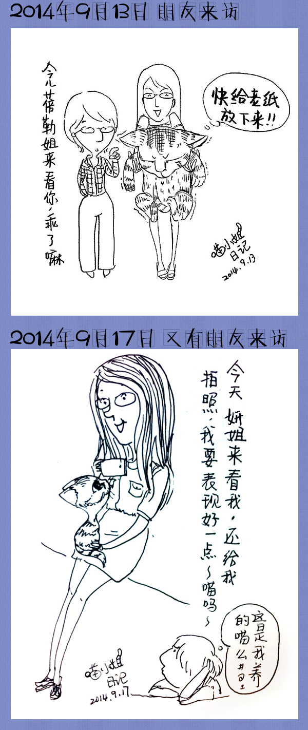 好喵漫画 | 好喵养猫记（下）