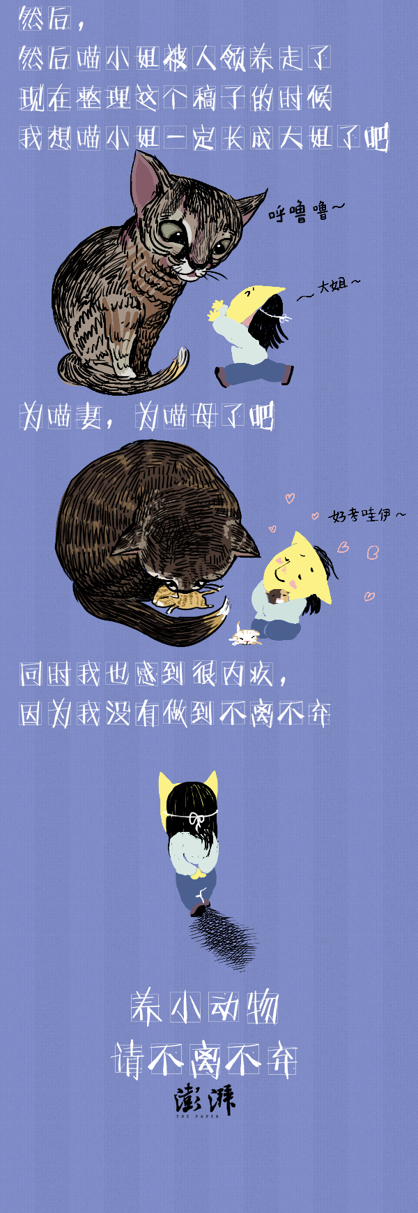 好喵漫画 | 好喵养猫记（下）