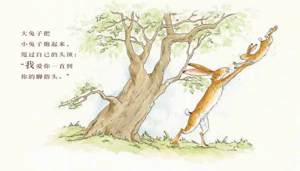 这本风靡全世界的《猜猜我有多爱你》，开头到底在哪里？