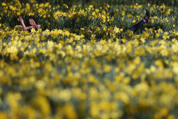 春眠不觉晓，只想去旅游？赶紧来一场环球春游吧！