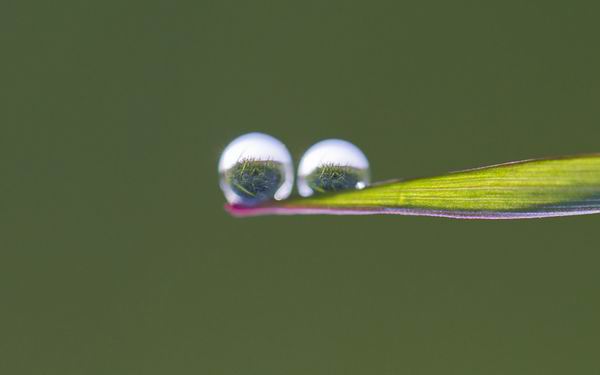 春眠不觉晓，只想去旅游？赶紧来一场环球春游吧！