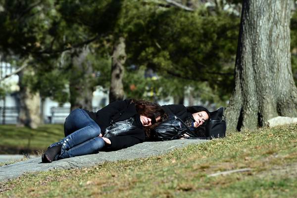 春眠不觉晓，只想去旅游？赶紧来一场环球春游吧！