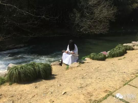 植物园现白衣长发人抚琴 网友:吓得想把他踹河里