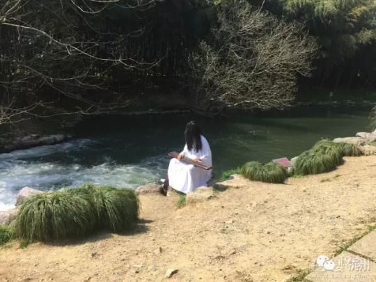 植物园现白衣长发人抚琴 网友:吓得想把他踹河里