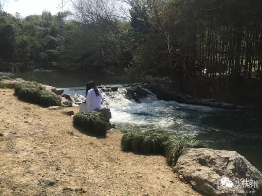 植物园现白衣长发人抚琴 网友:吓得想把他踹河里