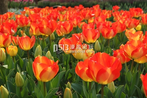 092826p61jmgazj331666b.jpg