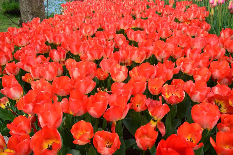 照片 190_副本.jpg