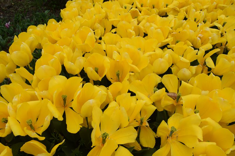 照片 192_副本.jpg