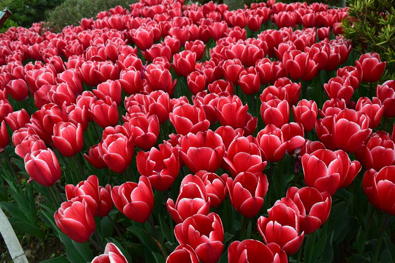 照片 194_副本.jpg