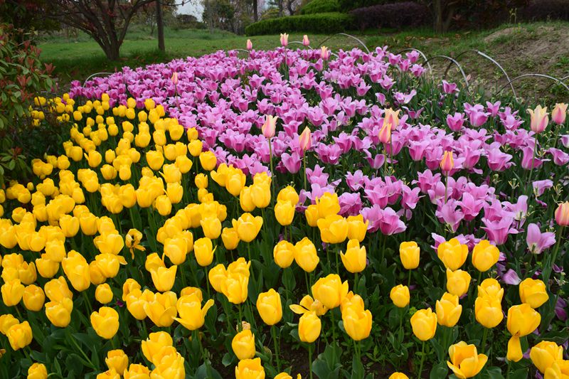 照片 195_副本.jpg