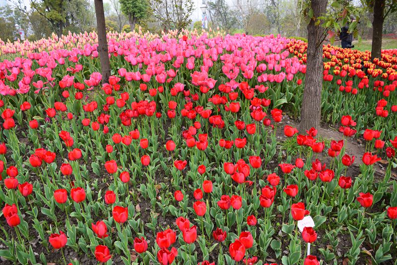 照片 197_副本.jpg