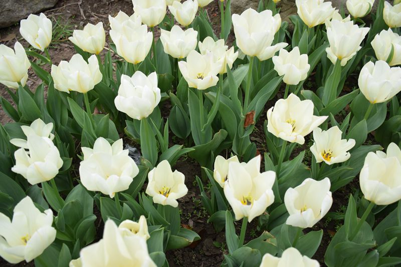 照片 203_副本.jpg