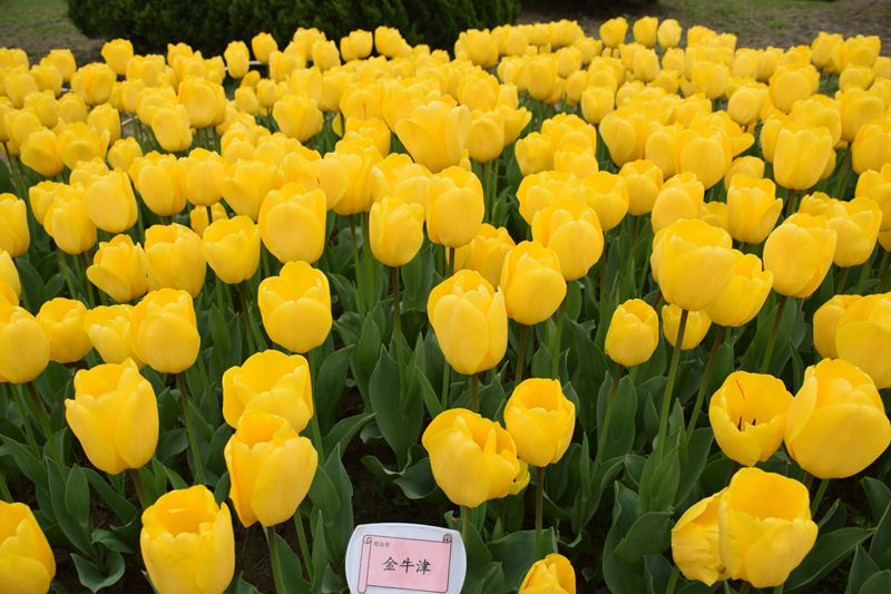 照片 208_副本.jpg