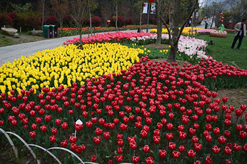 照片 221_副本.jpg