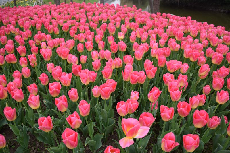 照片 230_副本.jpg