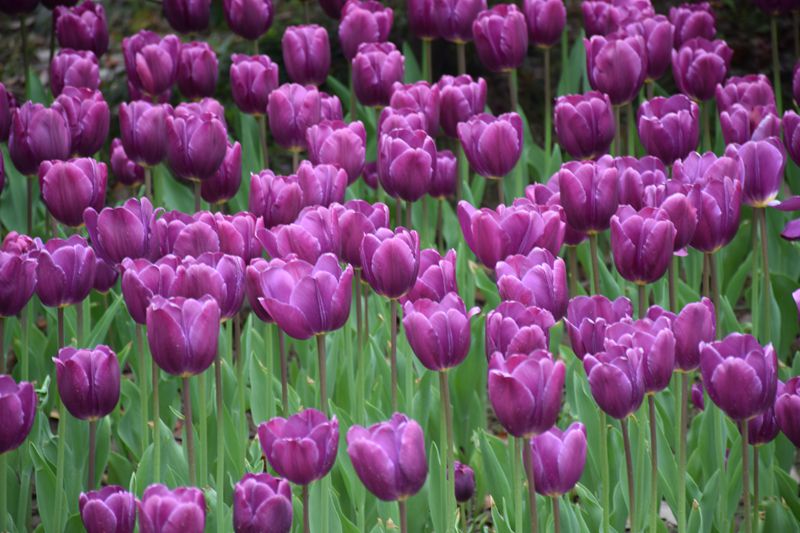 照片 235_副本.jpg