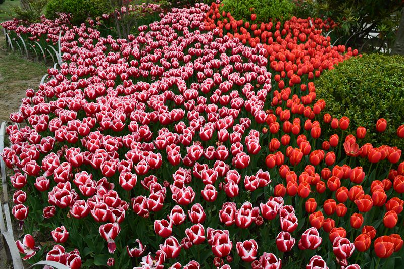 照片 200_副本.jpg