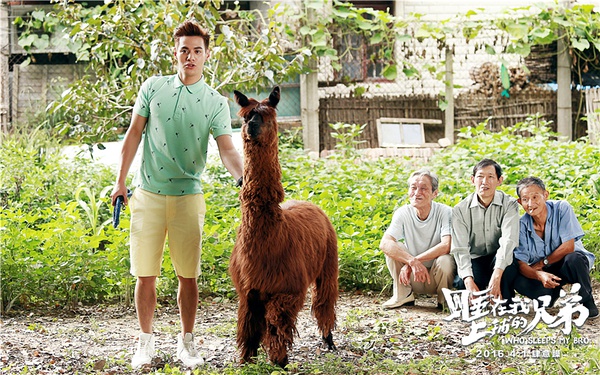 也许青春片如此乏味，确实是因为现实如此苍白