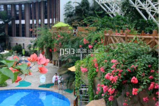 全苏州都在做花 只有我们叫花花世界966.png