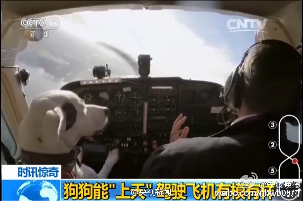 澎湃联播|需别人代替完成的梦想应扔进垃圾桶