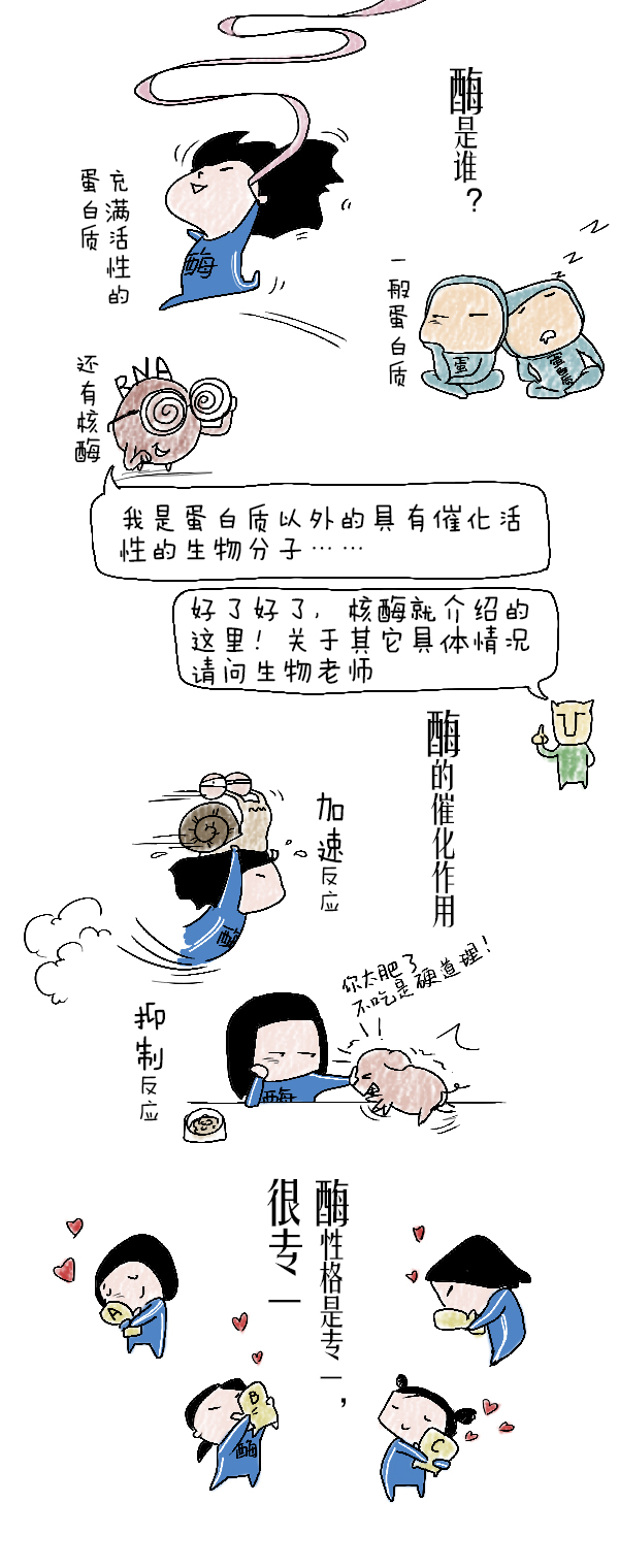 好喵漫画 | 酵素其实酶什么