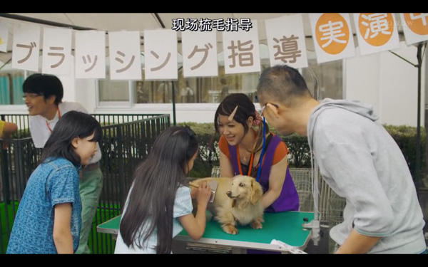 日本每年有10余万只猫狗被扑杀，为什么？怎么做？