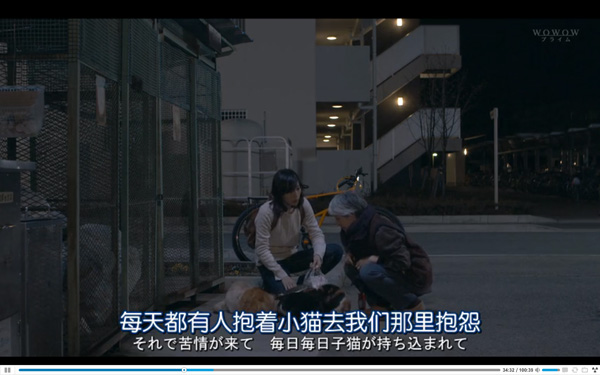 日本每年有10余万只猫狗被扑杀，为什么？怎么做？