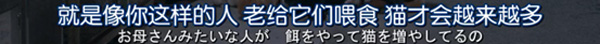 日本每年有10余万只猫狗被扑杀，为什么？怎么做？