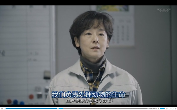 日本每年有10余万只猫狗被扑杀，为什么？怎么做？