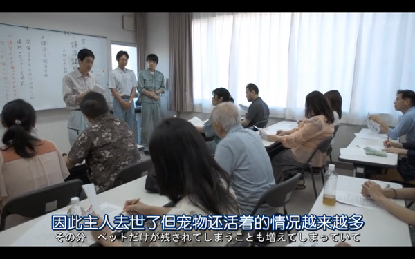 日本每年有10余万只猫狗被扑杀，为什么？怎么做？