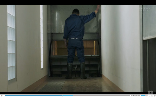 日本每年有10余万只猫狗被扑杀，为什么？怎么做？