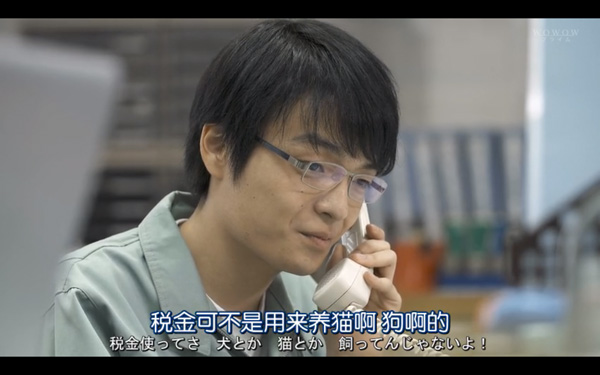 日本每年有10余万只猫狗被扑杀，为什么？怎么做？