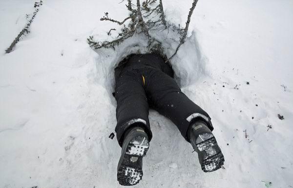 -55℃花费250个小时，摄影师拍摄北极熊母子的日常