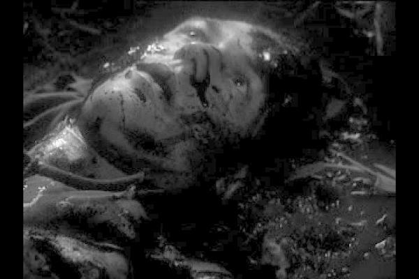 20岁的《生化危机》，它是三上真司曾经的理想与执着