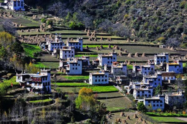 专访王明珂︱（一）从毒药猫理论看ISIS事件