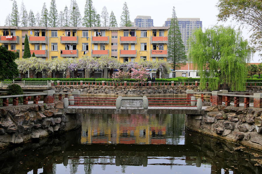  钟秀校区满园春（四）