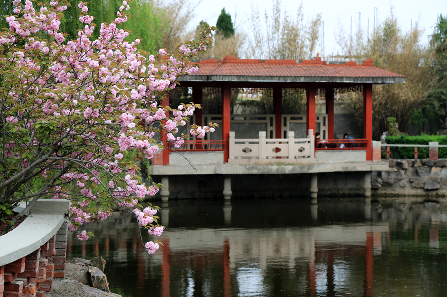 钟秀校区满园春（五）