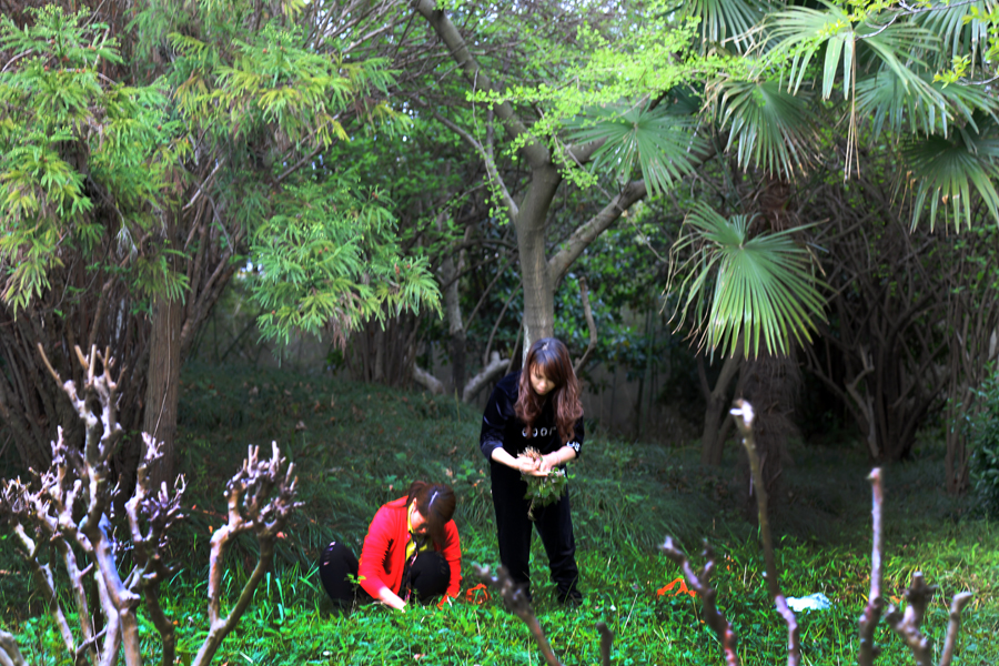 （钟秀校区满园春（六）