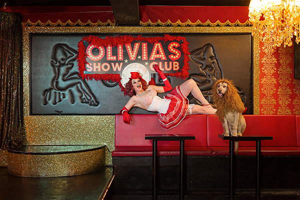 趣看|从流浪狗，到狮子辛巴