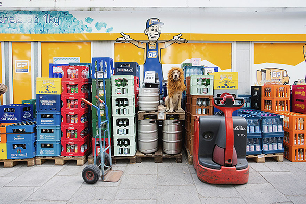 趣看|从流浪狗，到狮子辛巴