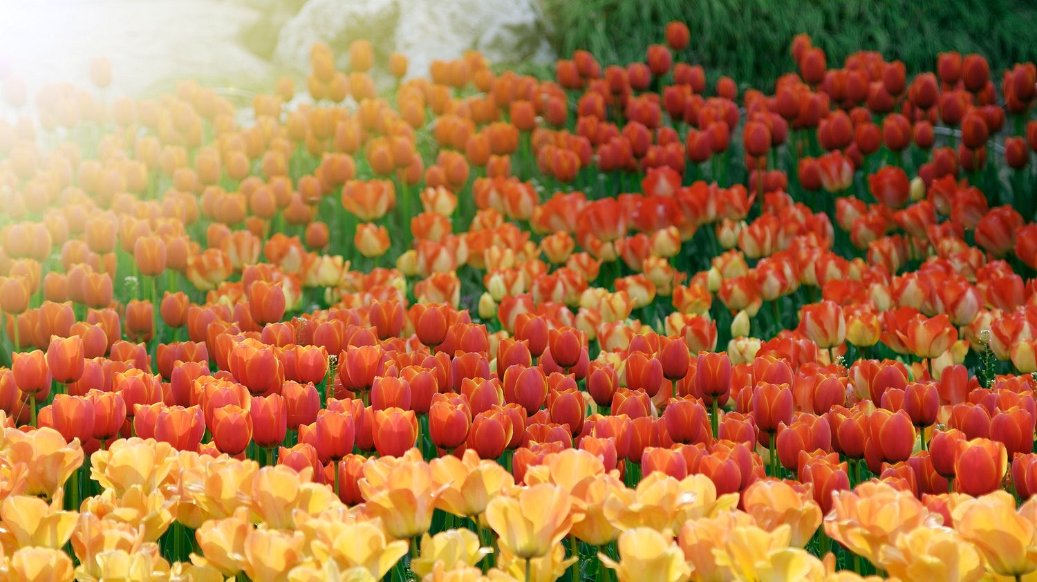 SRGB6284 拷贝_结果_结果.jpg