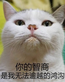 国产青春剧的颓势，靠胡歌也无法扭转