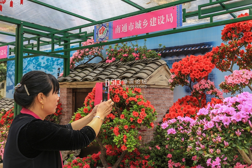 第十三届中国杜鹃花展览南通展位乡土味儿浓 (7).jpg